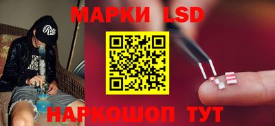 крисы Беслан