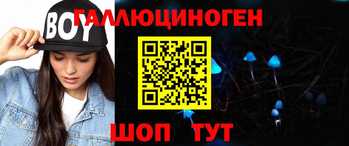 Галлюциногенные грибы GOLDEN TEACHER Каменка